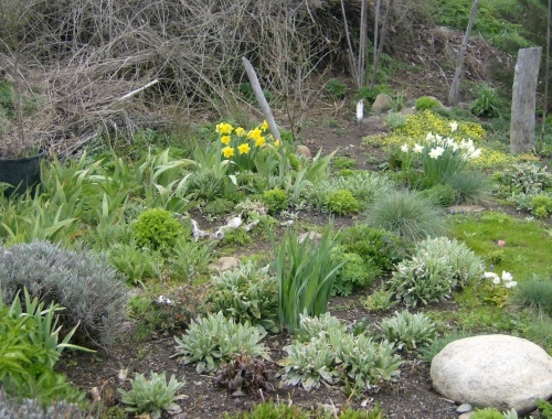 a particularly well-thought ought multi-season ornamental garden