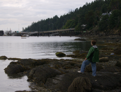 the dock from the beach where Jill swims