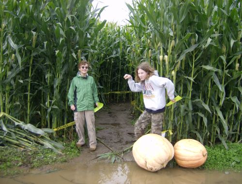 The boys at the entrance to the corn maze. 