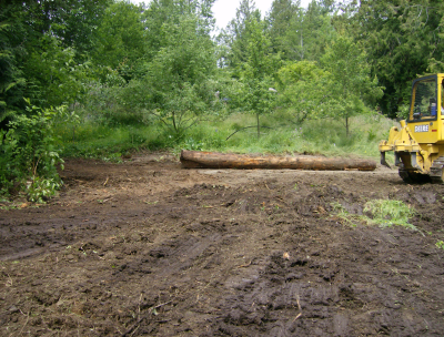 35 foot log helping create a terrace between orchard and garden