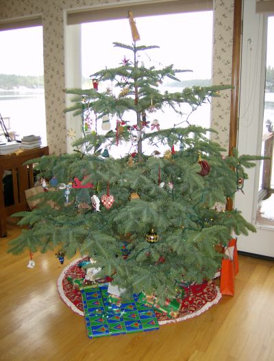 the tree with ornaments collected over the decades