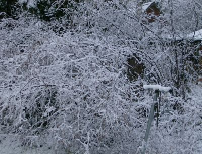 back-clothesline-snow-15-mar