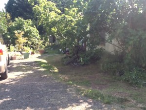 looking toward front door from driveway