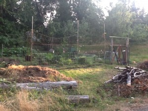 the garden from the driveway, gate in place