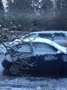 Nearly an inch on the cars, the difficult part was the layers of crusty ice between fluffy but crunchy snow