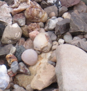 quartz, granite, fossils in mudstone, agates, geodes and thunder eggs, basalt, slate and more; colors from cool white and warm cream through reds and browns, grays and black